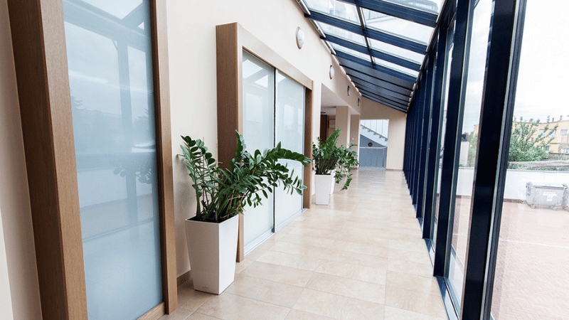 Moje sukcesy pietrusińskiego 5